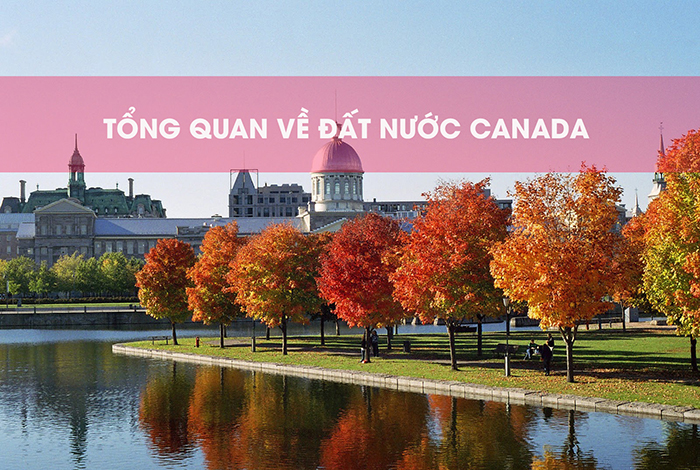 Điều thú vị về tên đường ở Toronto Canada các bạn nên khám phá